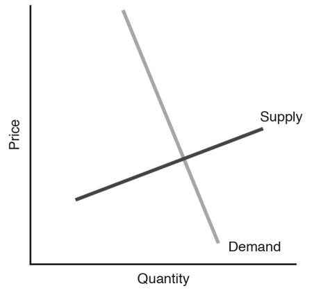    Figure 6.11 -Refer to Figure 6.11.If a tax is imposed on the market in Figure 6.11,________ will bear a smaller share of the tax. A)  consumers B)  producers C)  the government D)  no one