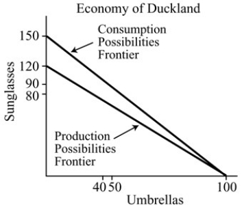    Figure 18.1 -Refer to Figure 18.1.Duckland has a comparative advantage in the production of A)  sunglasses. B)  umbrellas. C)  both umbrellas and sunglasses. D)  neither umbrellas nor sunglasses.
