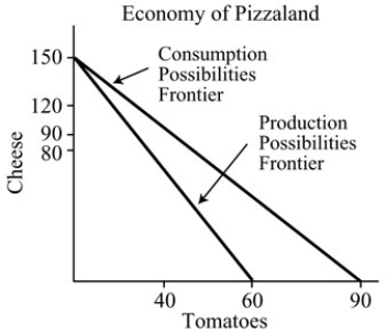    Figure 18.2 -Refer to Figure 18.2.Pizzaland has a comparative advantage in the production of A)  tomatoes. B)  cheese. C)  both cheese and tomatoes. D)  neither cheese nor tomatoes.