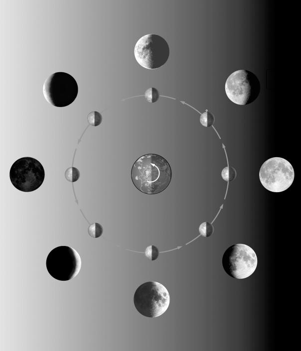 The figure below shows the different phases of the Moon.Label each phase of the Moon.What time would the full Moon be on your meridian? The new Moon?   