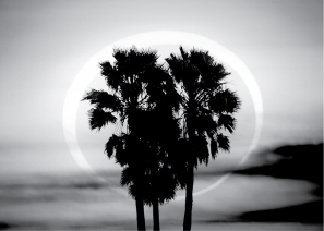 The figure below shows a solar eclipse.What type of solar eclipse is it?   