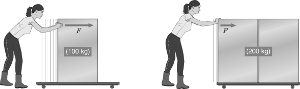 In the figure below,the woman pushes on each object with the same force.If the resulting acceleration of the 100 kg object is 2 m/s<sup>2</sup>,then the acceleration of the 200 kg object is 1 m/s<sup>2</sup>.   