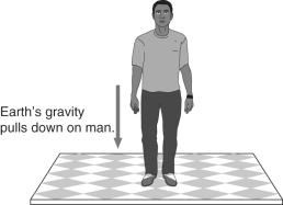 In the figure below,the force of gravity is drawn in the picture.This represents Earth's gravity pulling down on the man.According to Newton's third law,what is the other half of this pair of forces?   A)  The floor pushing up on the man. B)  The man pushing on the floor. C)  The man's gravity pulling up on the Earth. D)  The floor pushing backwards on the man.