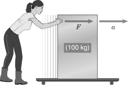 In the figure below,if the acceleration of the container is 2 m/s<sup>2</sup>,with what force did the woman push?   A)  50 N B)  100 N C)  150 N D)  200 N