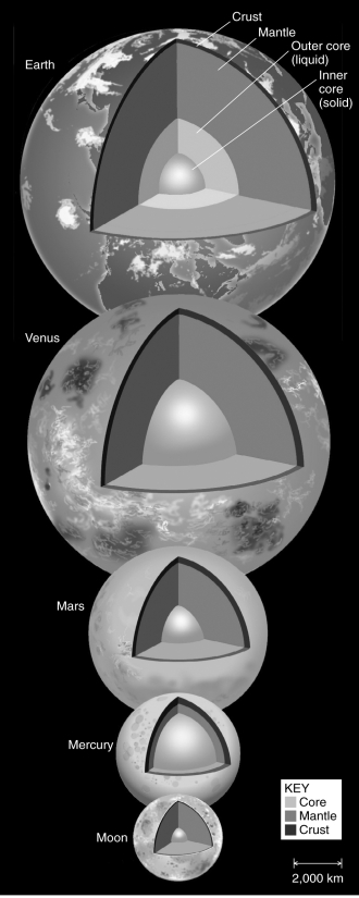 Mercury has the largest core compared to the size of the planet.   