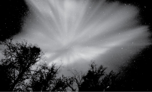 Examine the image below.   Auroras are: A)  gases fluorescing in the atmosphere B)  the magnetosphere of Earth hitting its atmosphere C)  the ozone layer being destroyed D)  a product of the atmospheric greenhouse effect