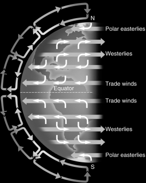 Examine the figure below.In the Southern Hemisphere,hurricanes __________ compared to hurricanes in the Northern Hemisphere due to the Coriolis effect.   A)  rotate in the opposite direction B)  cause more damage C)  move from east to west D)  have larger wind speeds