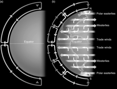 Examine the figure below.What is the main driver that causes Hadley circulation in a planet's atmosphere to break up into zonal winds?   A)  The planet's rapid rotation B)  Heating from the solar wind C)  Hurricanes developing along the planet's equator D)  Convection driven by solar heating