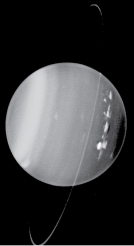 How do Uranus's rings differ from the ring systems of the other giant planets?   A)  Uranus has only one ring made up of fine dust. B)  Uranus has the most spectacular ring system with many bright,wide rings. C)  Uranus has 13 rings that are narrow and widely spaced. D)  Uranus has rings that are clumped into several arclike segments.