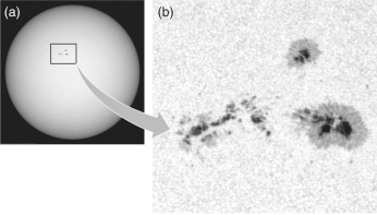 Examine the figure below.In a sunspot,the umbra is cooler than the penumbra.  <div style=padding-top: 35px> 