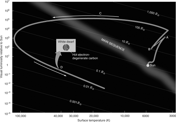 Which point on the figure below represents the location on the H-R diagram where the star is expelling mass creating a planetary nebula?   A)  A B)  B C)  C D)  D