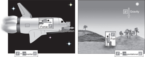 Examine the figure below.Explain what the equivalence principle is in general relativity.   