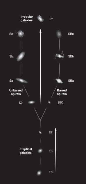 The Hubble tuning fork diagram (figure below)represents an evolutionary diagram of galaxies from elliptical to spiral.   