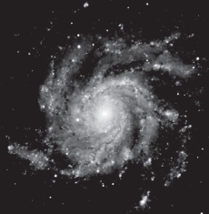 The image below is of a spiral galaxy.   In spiral galaxies,the size of the central bulge is correlated with the: A)  tightness of the spiral arms B)  luminosity of the galaxy C)  age of the galaxy D)  thickness of the disk