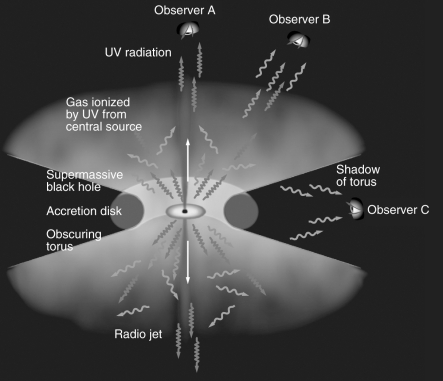 The figure below shows the unified model of AGNs along with three observers.Which observer would likely not be able to see the accretion disk?   A)  Observer A B)  Observer B C)  Observer C D)  All observers can equally see detail in the object.