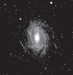 <strong>The Milky Way is classified as an __________ galaxy. </strong> A) Sa B) SBbc C) Sd D) SBc