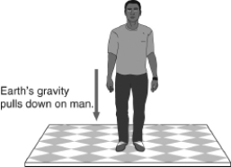 In the figure below,the force of gravity is drawn in the picture.This represents Earth's gravity pulling down on the man.According to Newton's third law,what is the other half of this pair of forces?   A)  the floor pushing up on the man B)  the man pushing on the floor C)  the man's gravity pulling up on Earth D)  the floor pushing backward on the man