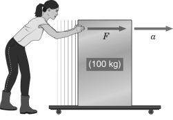Examine the figure below.If the woman pushes with a force of 200 N,what is the acceleration of the container?