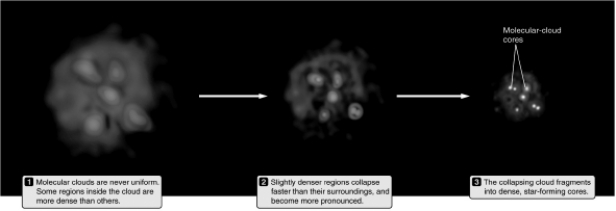 Examine the figure below.What causes molecular clouds to collapse?   A)  conservation of charge B)  self-gravity C)  thermal energy D)  radiation