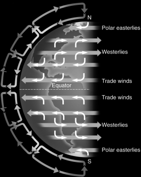 Examine the figure below.In the Southern Hemisphere,hurricanes ________ compared to hurricanes in the Northern Hemisphere because of the Coriolis effect.   A)  rotate in the opposite direction B)  cause more damage C)  move from east to west D)  have larger wind speeds