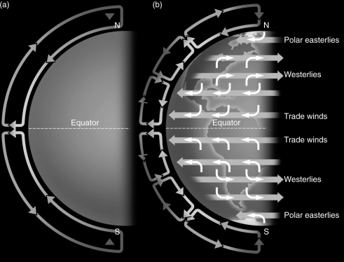 Examine the figure below.What is the main driver that causes Hadley circulation in a planet's atmosphere to break up into zonal winds?   A)  the planet's rapid rotation B)  heating from the solar wind C)  hurricanes developing along the planet's equator D)  convection driven by solar heating