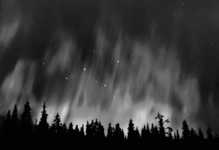 Why are auroras seen mainly near the poles and not everywhere on Earth?   