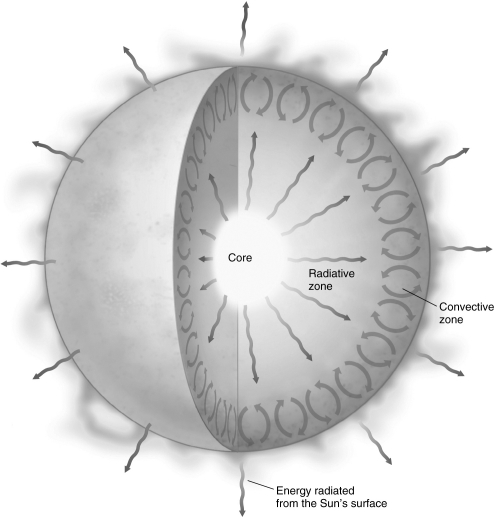 Examine the figure below.Show where in the Sun nuclear fusion occurs,and explain why fusion occurs there.   