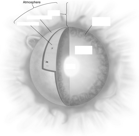 In the figure below,label the regions of the Sun.   