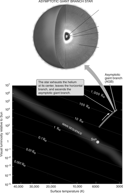 Label the various regions of an asymptotic giant branch star in the figure below.   
