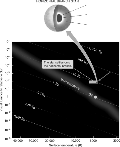 Label the various regions of a horizontal branch star in the figure below.   