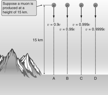 Normally,muons created by cosmic rays at high altitudes decay in a very short time,a time so short that they should not reach the ground.From the figure below,which muon is most likely to be detected on the ground?   A)  muon A B)  muon B C)  muon C D)  muon D