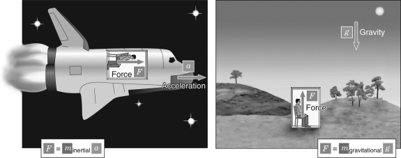 Examine the figure below.Explain what the equivalence principle is in general relativity.   