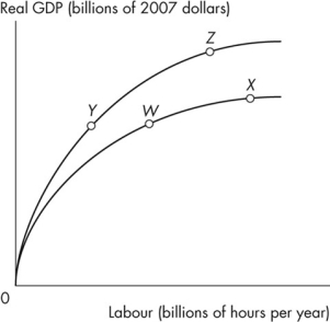 Use the figure below to answer the following question.    Figure 6.3.1 -Refer to Figure 6.3.1.The country of Kemper is on its aggregate production function at point W.If the population increases with no change in capital or technology, the economy A) moves to point such as X. B) moves to point such as Y. C) remains at point W. D) moves to point such as Z. E) either remains at point W or moves to point X.