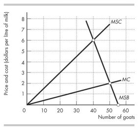 Use the figure below to answer the following questions.   Figure 16.3.2 -Figure 16.3.2 shows the marginal private cost curve,marginal social cost curve,and marginal social benefit curve for raising goats on a common pasture.A quota that results in the common resource being used efficiently is set at A) 0 goats. B) 35 goats. C) 50 goats. D) 55 goats. E) 40 goats.