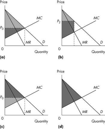 Use the figure below to answer the following questions.   Figure 12.3.2 -Consider Figure 12.3.2.The light grey area shows consumer surplus,and the dark grey area shows producer surplus.Which graph illustrates a perfectly competitive market? A) (a)  B) (b)  C) (c)  D) (d)  E) (b) and (d) 