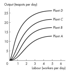 Use the figure below to answer the following questions.   Figure 10.4.1 -Refer to Figure 10.4.1,which illustrates the total product curves for four different plant sizes.One of the fundamental technological facts reflected in the shape of each of the total product curves is the A) price of the inputs. B) price of the output. C) law of diminishing marginal returns. D) law of economies of scale. E) fact that capital and labour cannot be substituted for each other.