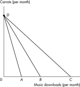 Use the figure below to answer the following questions.   Figure 9.1.2 -Refer to Figure 9.1.2.Which budget line has the lowest relative price for carrots? A) AD B) BD C) CD D) The relative price is equal for all three budget lines. E) Cannot be determined without studying the indifference curves.