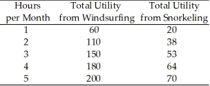 Use the table below to answer the following questions. Windsurfing equipment rents for $10 per hour and snorkeling equipment rents for $5 per hour. Table 8.3.1   -Consider Devon's utility from snorkeling and windsurfing in Table 8.3.1.Devon has $55 to spend.What are Devon's choices for time spent on the two activities? A) 1 hour of windsurfing and 9 hours of snorkeling B) 2 hours of windsurfing and 7 hours of snorkeling C) 3 hours of windsurfing and 5 hours of snorkeling D) 4 hours of windsurfing and 3 hours of snorkeling E) 5 hours of windsurfing and 1 hour of snorkeling