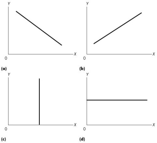Use the figure below to answer the following questions.   Figure 1A.3.9 -Refer to Figure 1A.3.9.Which one of the graphs shows a line with a zero slope? A) (a)  B) (b)  C) (c)  D) (d)  E) (a) , (b) ,and (c) 