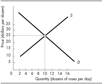   -Using the above figure, suppose there is a decrease in the number of suppliers. Then A)  the equilibrium price will decrease below $25 per dozen roses. B)  we cannot predict what will happen to equilibrium quantity. C)  the equilibrium quantity will decrease below 10 dozen roses. D)  both the equilibrium price and quantity will increase.