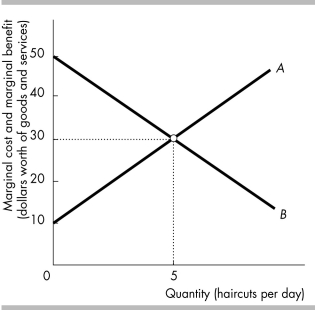   -The figure illustrates the market for haircuts. Curve A is the ________ curve, and curve B is the ________ curve. A)  marginal social cost; marginal social benefit B)  total social cost; total social benefit C)  opportunity cost; opportunity benefit D)  marginal social benefit; marginal social cost