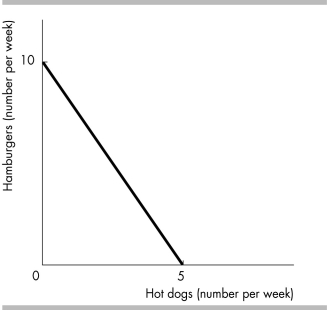   -The figure above shows Ronald's budget line. He has a weekly income of $20, which he spends on hotdogs and hamburgers. Now Ronald's income decreases to $10 per week and the price of a hotdog doubles. Ronald's budget line becomes ________ and ________. A)  flatter; shifts rightward B)  flatter; does not shift C)  steeper; shifts rightward D)  steeper; shifts leftward