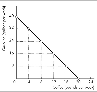   -The figure above shows Sam's budget line. Which of the following combinations of gasoline and coffee are available to Sam? A)  40 gallons of gasoline and 1 pound of coffee B)  1 gallon of gasoline and 20 pounds of coffee C)  16 gallons of gasoline and 12 pounds of coffee D)  12 gallons of gasoline and 16 pounds of coffee