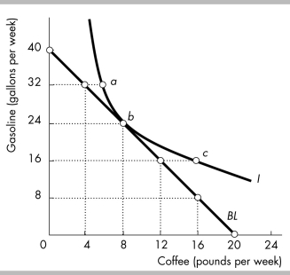   -The above figure shows Sam's budget line and one of his indifference curves. What combination of coffee and gasoline will Sam select? A)  combination a because that contains all the gasoline he needs and still has some coffee B)  combination c because that contains all the coffee he needs and some gasoline C)  combination b because it is on his budget line and on the highest attainable indifference curve D)  none of the above