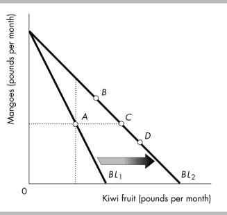   -In the above figure, Reggie's budget line rotates outward from BL<sub>1</sub> to BL<sub>2</sub>. He initially consumes at point A. If his new consumption bundle is at point C, this implies that his demand curve for kiwi fruit A)  has shifted. B)  is a vertical line. C)  slopes downward. D)  is a horizontal line.