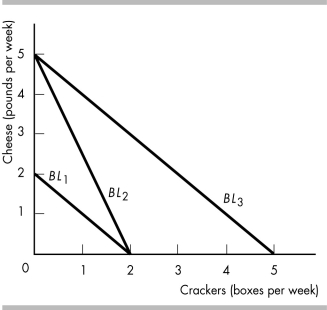   -The figure above contains several budget lines for Sarah, who uses her income to purchase two goods, cheese and crackers. a) A movement between which two budget lines represents an increase in income? b) A movement between which two budget lines represents an increase in the price of a pound of cheese? c) A movement between which two budget lines represents an increase in the price of a box of crackers?