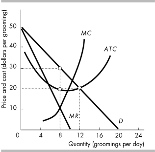   -Donna owns the only dog grooming salon on Lonely Island. The figure above shows the dog grooming market. Donna is a single-price monopoly that maximizes profit by charging ________ per grooming and producing ________ groomings per day. A)  $30; 8 B)  $20; $8 C)  $20; $12 D)  None of the above answers is correct.