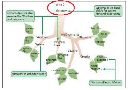   -The accompanying figure displays the Windows file catalog._________________________