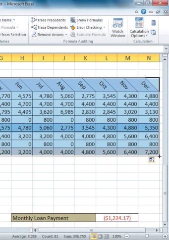   -Referring to the figure above,the last entry shown in Column N is 7,200.There is a black  plus sign  on the lower right edge of the cell that is the ____. A)  fill handle B)  Auto Fill Options button C)  formula finder D)  function finder