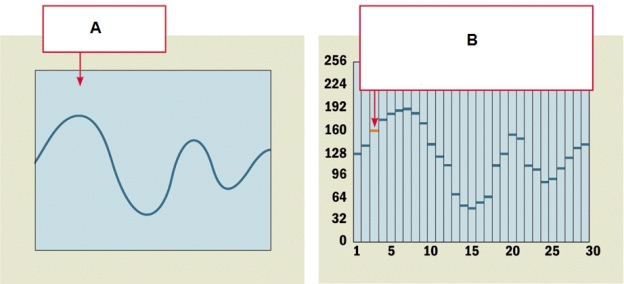 <strong> The type of data where text,numbers,graphics,sound,and video have been converted into discrete digits as represented in the accompanying figure is ____.</strong> A) information B) analog C) digital D) none of the above